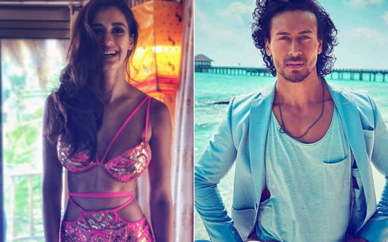 Is Tiger Shroff's "Mesmerised By Your Curves" Tweet For Girlfriend Disha Patani?