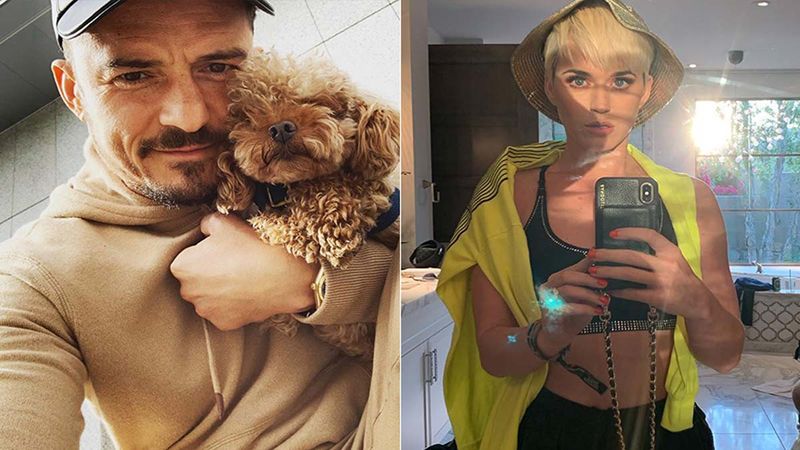 Katy Perry Seems Ready To Be Mrs Orlando Bloom; Fans Are Obsessing Over Those Dogs Though