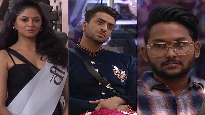 Bigg Boss 14: Kavita Kaushik And Aly Goni Engage In War Of Words, Actress Calls Jaan Kumar Sanu Bootlicker