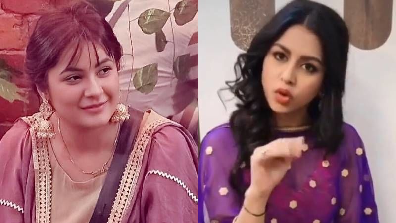 TV Actress Jyoti Sharma Nails Bigg Boss 13's Shehnaaz Gill's Mimicry In Her Latest TikTok Video - WATCH