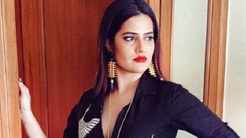 Sona Mohapatra Reveals Losing Out Concerts To Armaan Malik And Salim-Sulaiman In Islamic Countries