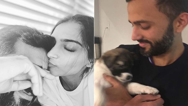 Sonam Kapoor's Mushy Husband Appreciation Post Is Too Special; Anand Ahuja Must Be Floored