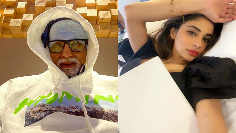 Amitabh Bachchan Hopes 2021 Is Better, Hangs Lemon And Green Chillies, His Brahmastra Co-Star Mouni Roy Has Something To Say