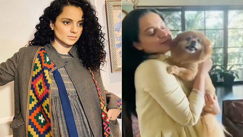 Kangana Ranaut’s Dog Meets Her After Ages, Cries In Happiness In Her Arms- Video Inside