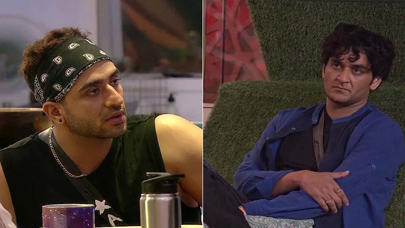 Bigg Boss 14: Aly Goni Accuses Vikas Gupta Of Being Responsible For His Removal From A Show, Claims Gupta Is A Liar