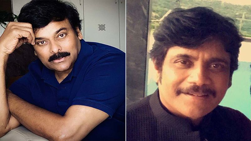 Wild Dog: Chiranjeevi Heaps Praises Of Nagarjuna Akkineni Starrer; Says ‘Film Truly Looked On Par With The International Standards’