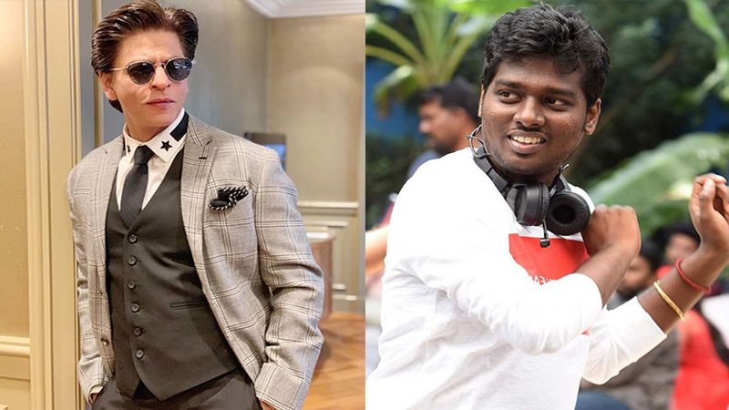 Shah Rukh Khan To Announce 'Sanki' On His Birthday; Atlee To Direct The Film Post Bigil