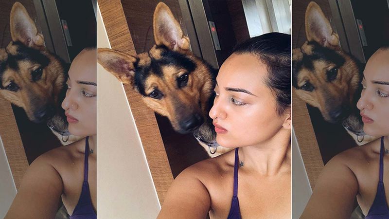 Sonakshi Sinha’s Pet Bronze Photo-Bombing Her Selfie Is Totally Cute