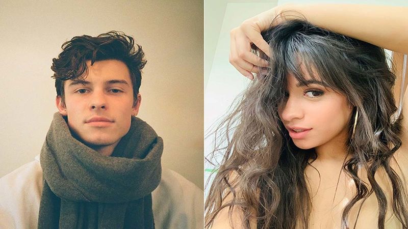 A Spoof Video Of Shawn Mendes-Camila Cabello From Goa Will Leave You In Splits As It Includes Pee Jokes