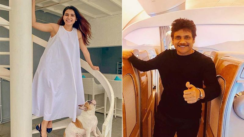 Samantha Akkineni Hosts Bigg Boss Telugu 4 Without Watching A Single Episode; Thanks Her Father-In-Law Nagarjuna Akkineni