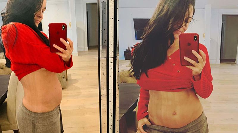 Nikki Bella Flaunts Her 16 Weeks Baby Bump In A Mirror Selfie; That Glow On Her Face Is Adorable