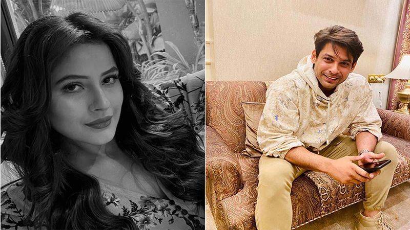 Shehnaaz Gill Replies To Sidharth Shukla's 'Bakwas' Comment On Her Kurta Pajama Music Video; Says ‘Kya Baat Hai Sahi Hai’