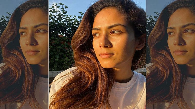 Mira Rajput Tries A New Form Of Workout; Exercises In Her Backyard Under A Mango Tree: 'No Excuses'- WATCH