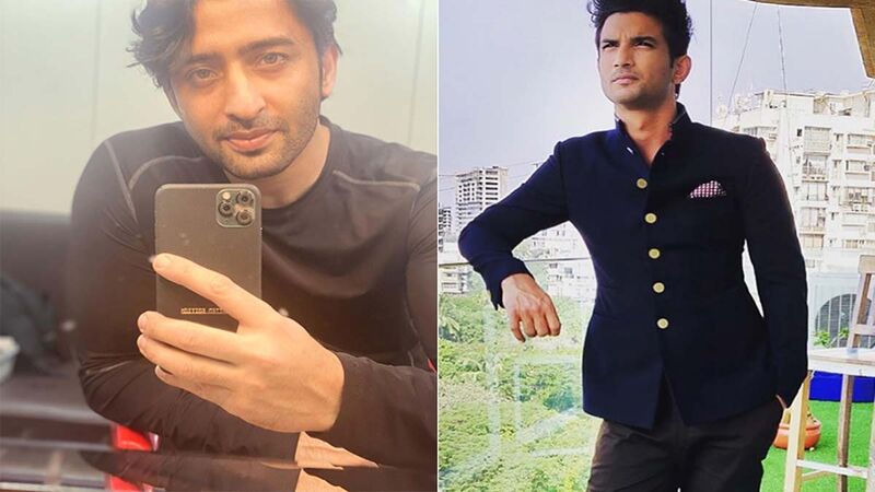Pavitra Rishta 2: Shaheer Sheikh On Fans Being Upset With Him For Playing Manav Earlier Played By Late Actor Sushant Singh Rajput, Says ‘I Feel They Don't Have To Replace Him With Me’