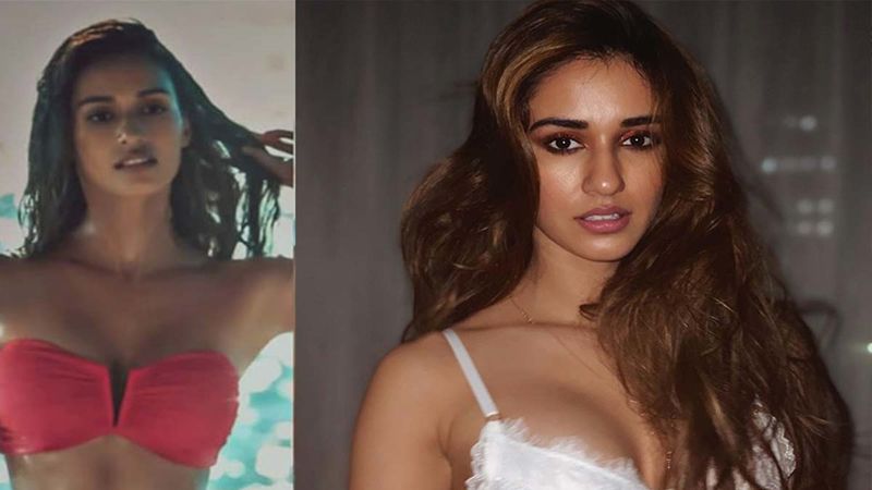 Malang Title Track Teaser: Disha Patani Walking Out Of A Beach In A Bikini Is Enough To Keep Us Hooked