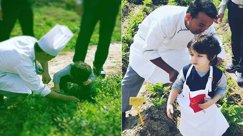 Wowsy- This Video Of Taimur Ali Khan Doing Organic Farming Is Too Adorable To Be Missed