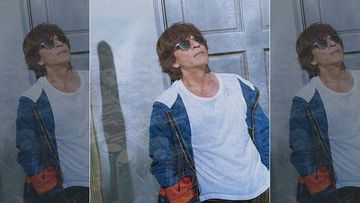 Shah Rukh Khan Reflects On His Journey As He Completes 28 Years In Bollywood: 'Don't Know When My Passion Became My Purpose'