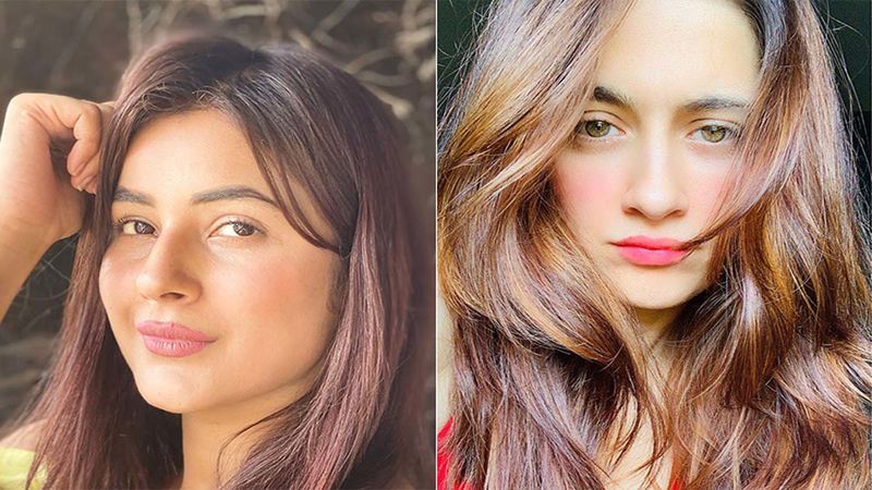 Shehnaaz Gill And Sanjeeda Shaikh Are Giving Fans The Sunday Feels Thanks To Their Happy Clicks; Netizens Hail Their 'Natural Beauty'