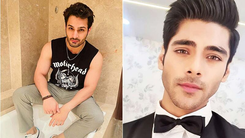Bigg Boss 15: Umar Riaz’s Fans Are Upset With Simba Nagpal's  Comment, Latter Says Umar Looks Like A Terrorist, Fans Ask For His Eviction