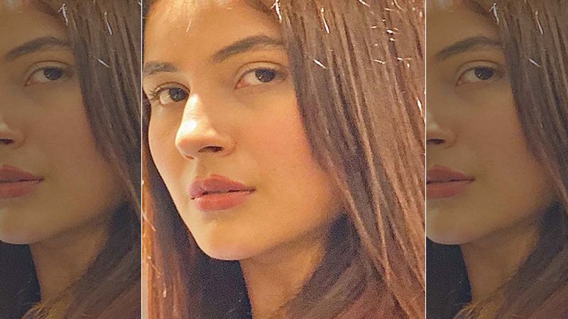 Bigg Boss13's Shehnaaz Gill Drops Lovely Pictures Of Her On The Streets Of Canada, Where She Shoots For Honsla Rakh