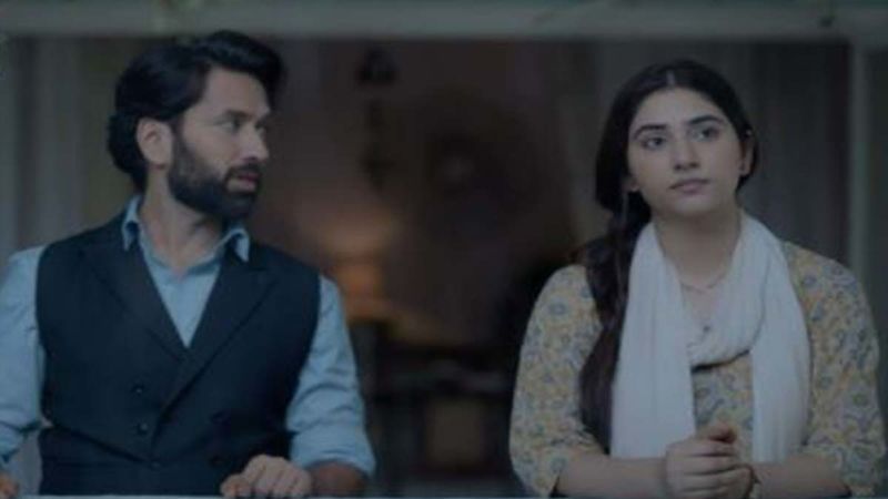 Bade Achhe Lagte Hain 2's New PROMO Shows What Happens When Two Starkly Different Individuals Fall For Each Other