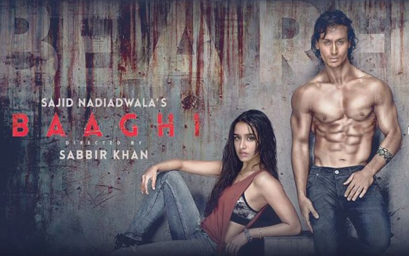 Movie Review: Baaghi: A Rebel for Love, Battered Skulls ho na ho