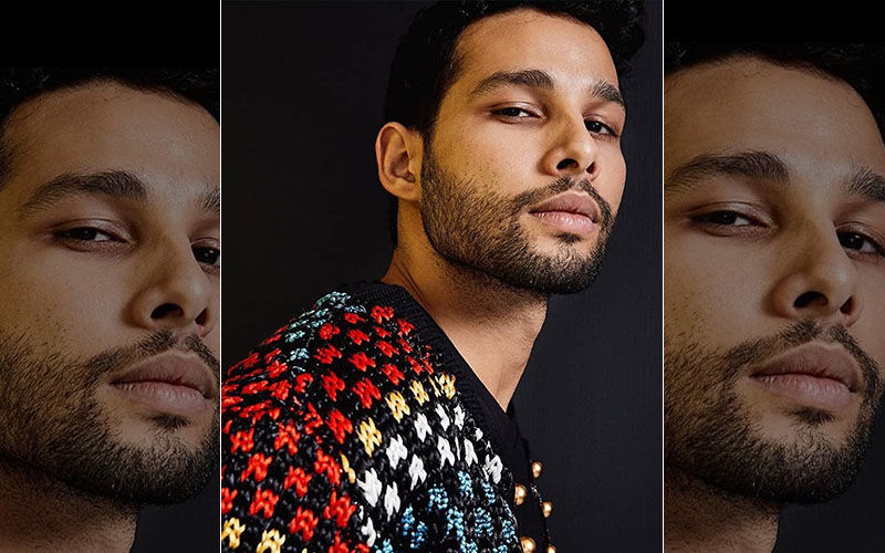 Gully Boy's MC Sher Aka Siddhant Chaturvedi’s Craze Leads His Female Fans To Altering Their Tinder Bios