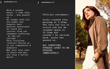 Anushka Sharma Is Heartbroken As She Informs About The Passing Away Of The Mumbai Dog, Lucky, Who Was Brutally Beaten Last Week