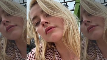 Not Amber Heard But Their Pet Dog Pooped In Johnny Depp’s Bed, Concludes The Judges