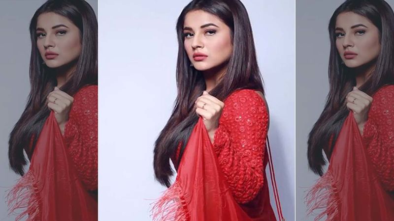 Shehnaaz Gill Shares A Throwback Video Looking Red Hot In A Shimmery Number, Leaves Fans In Love