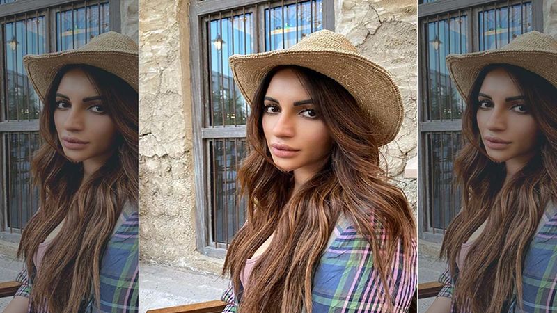 Shama Sikander Reacts To Alleged Drug Scene In Bollywood: 'No One Forces You To Do Something At Gun Point’