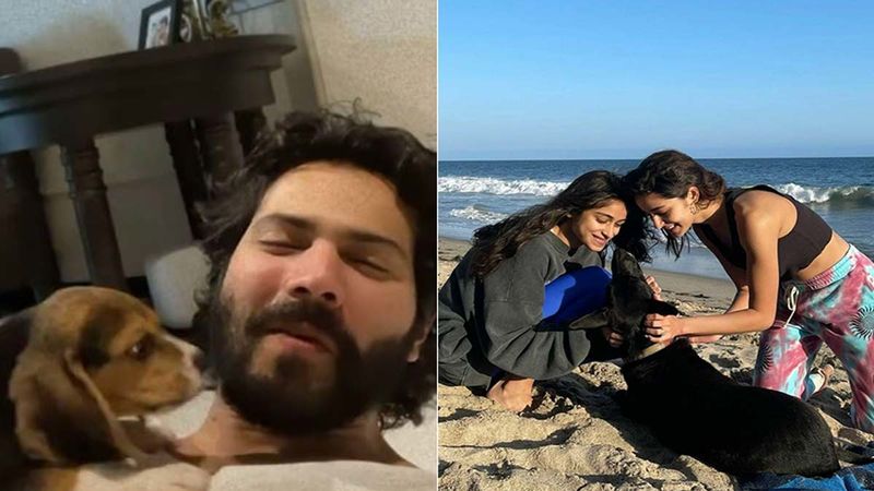 Varun Dhawan Chills At Home With His Baby While Ananya Panday Hits The Beach With Her Pawsome Take A Look