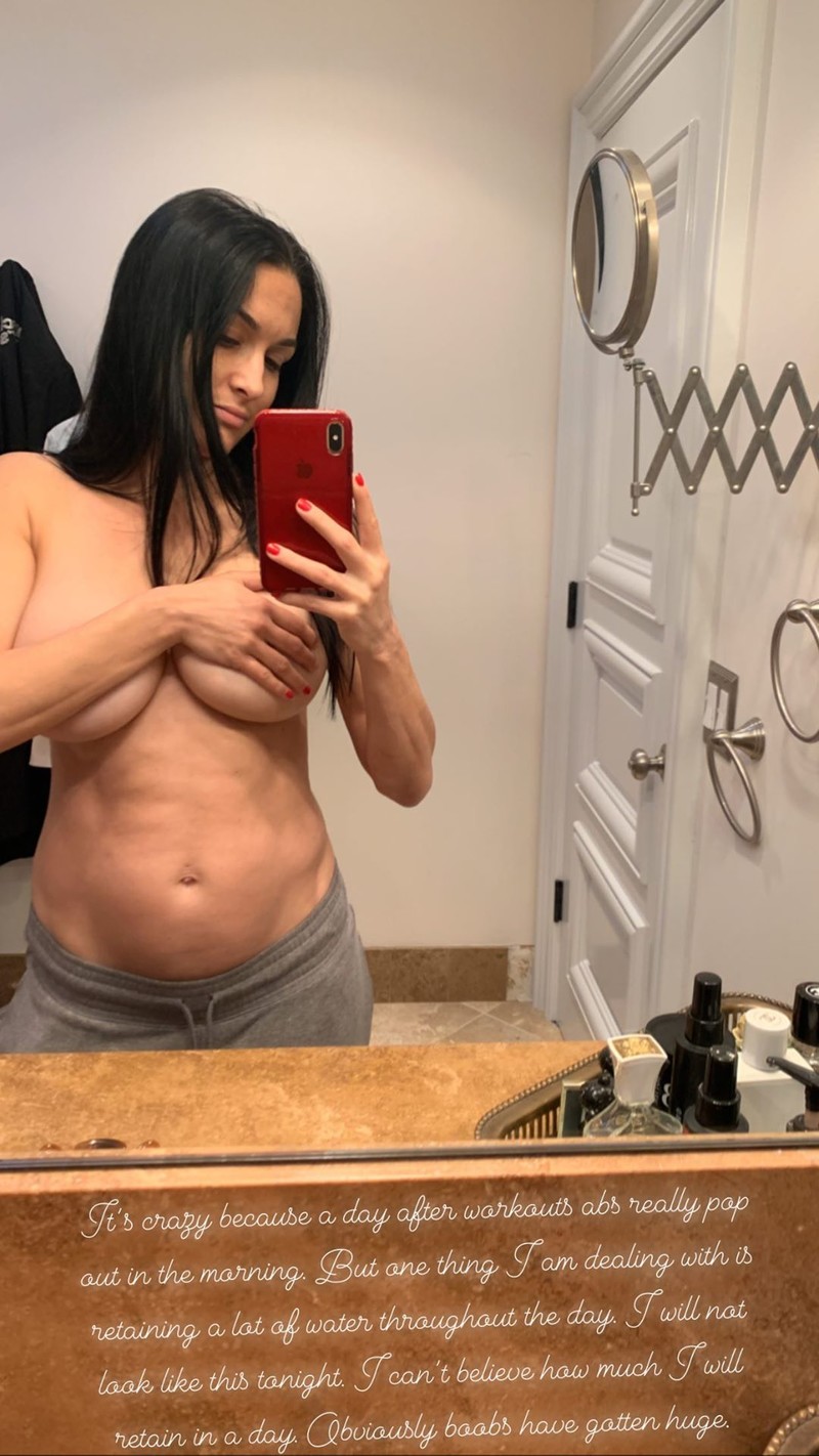 nikki bella2