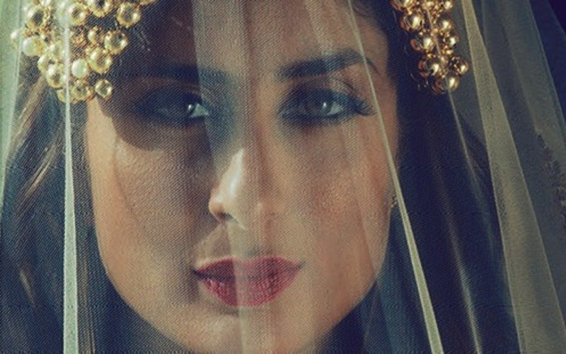 MEME:  When you carry mosquito net everywhere