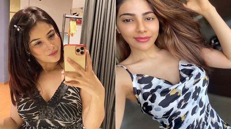 Bigg Boss 14: Shehnaaz Gill Gets Trolled For Asking Her Fans To Stop Judging Nikki Tamboli, Turns Off Her Instagram Comment Section