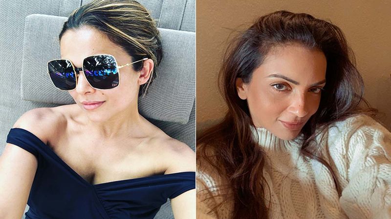 Amrita Arora’s Insta Stories Hints At The Diva Being In A Party Mode, Demands For Vino And Tags Seema Khan