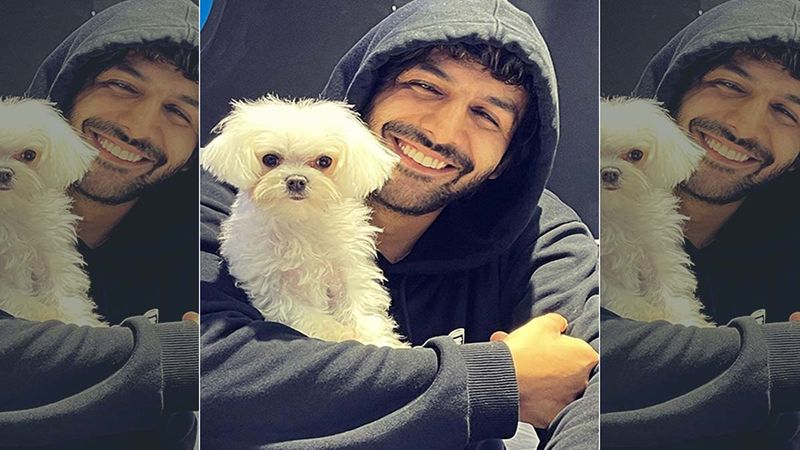 Kartik Aaryan Drops Cute Pictures Of His Pet Doggo; Asks, ‘Ise Koi Launch Karo’