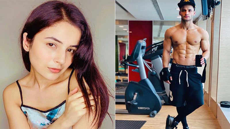 Bigg Boss 14 POLL: Shehnaaz Gill Or Asim Riaz, Fans Vote For BB13 Contestant Who They Want To See As Toofani Senior