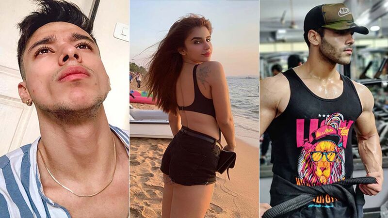 Bigg Boss 15: Pratik Sehajpal, Miesha Iyer And Simba Nagpal - A Love Triangle In The Making? Twitterati Think So