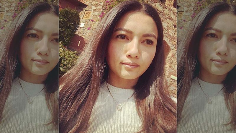 Gauahar Khan's Mother-In-Law Hospitalised; Zaid Darbar Says There's 'Nothing To Worry About'