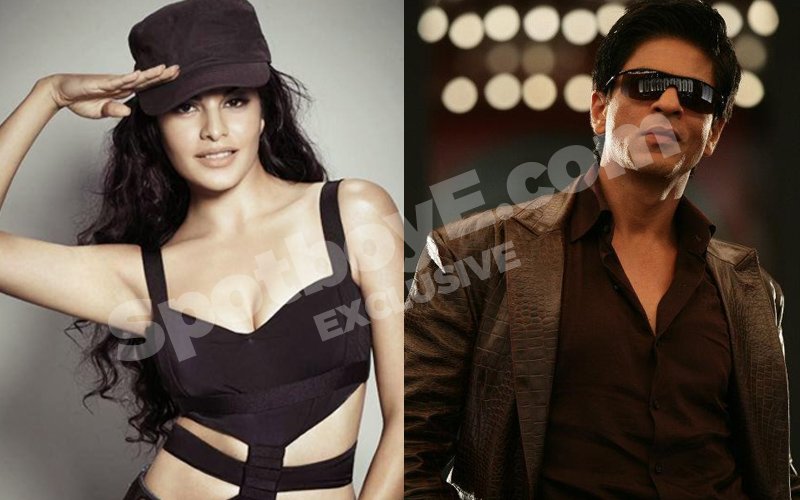 Jacqueline opposite SRK in Don 3 ?