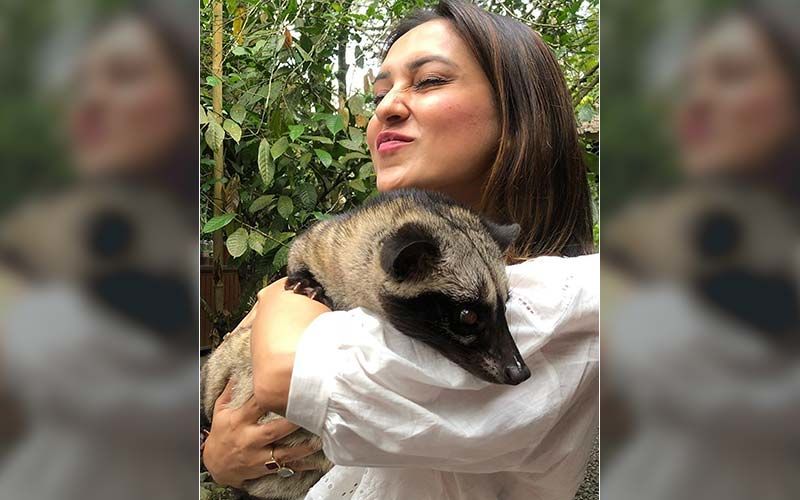 International Wild Life Day 2020: Mimi Chakraborty Shares Picture With Her Dog