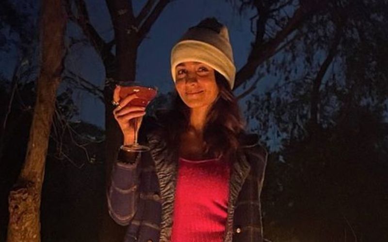 THIS Is What's Keeping Alia Bhatt Busy Amid Her New Years Getaway To Ranthambore; It's NOT Her Boyfriend Ranbir Kapoor