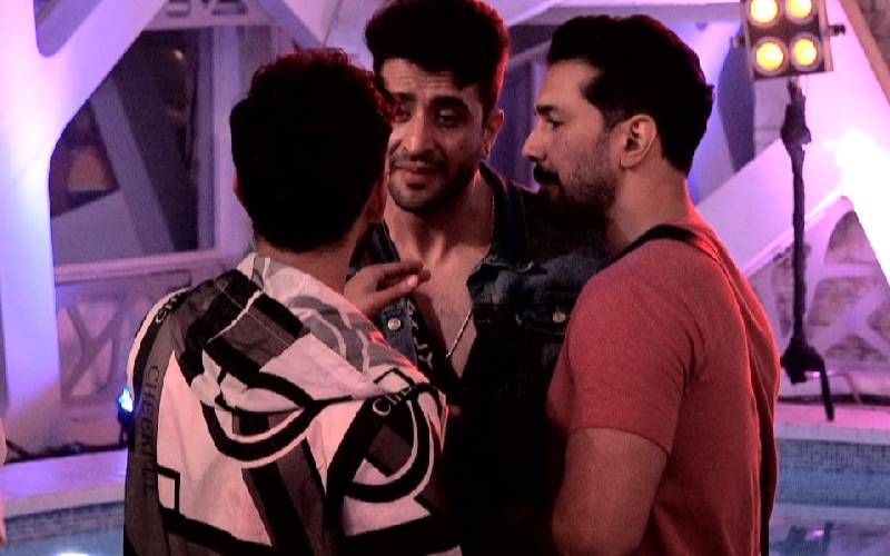 Bigg Boss 14 Day 34 SPOILER ALERT: Aly Goni Gives The Mastermind Vibes, Joins Hands With Rahul And Plots Against Pavitra Punia To Become The New Captain