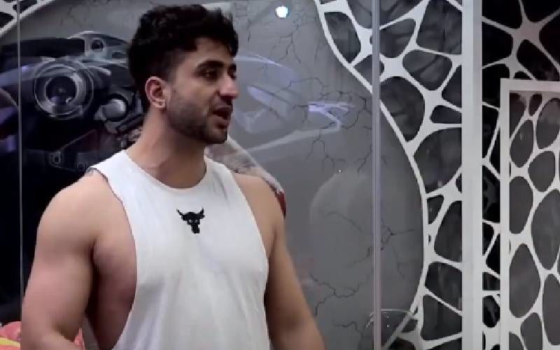 Bigg Boss 14: Aly Goni Is Finally Out Of The Quarantine Centre After Furiously Venting Out His Frustration; Takes Part In BB Adaalat - PIC