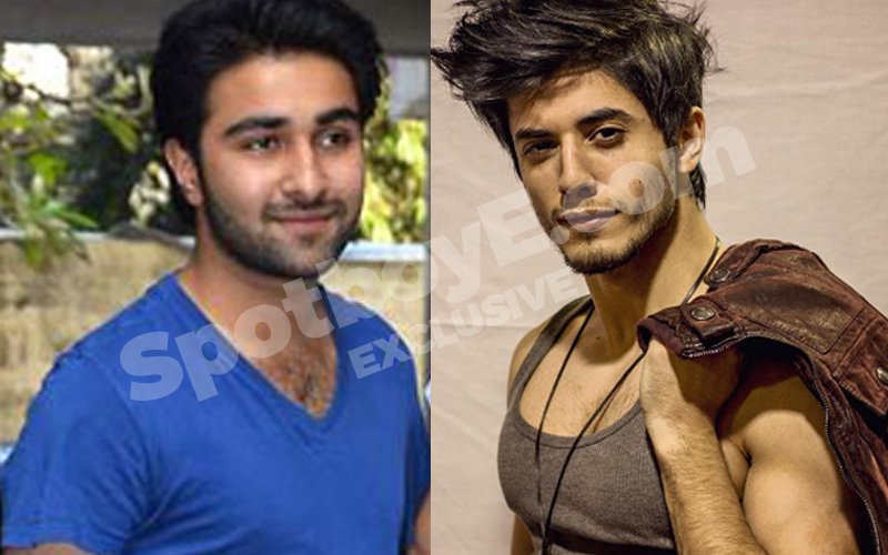 PAKISTANI ARTISTE BAN CONTROVERSY: Has Ranbir Kapoor's Cousin Replaced Ali Zafar's Brother?