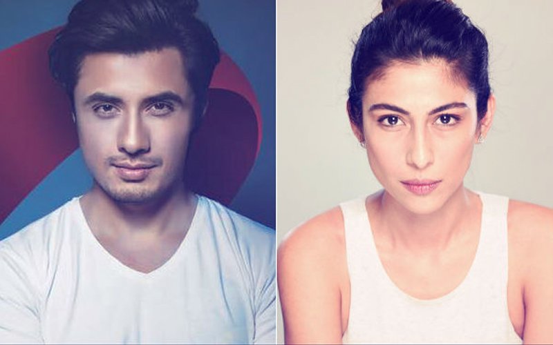 Apologise Or Cough Up Rs 100 Million; Ali Zafar Files Defamation Case Against Meesha Shafi