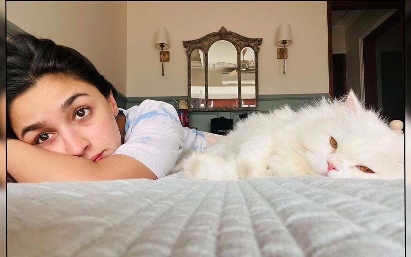 Alia Bhatt Spends A Lazy Day In Bed With Her Cat Edward; Actress Gives Fans A Glimpse Of Her Bedroom
