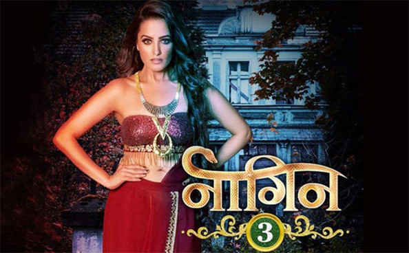 Anita Hassanandani From Naagin 3