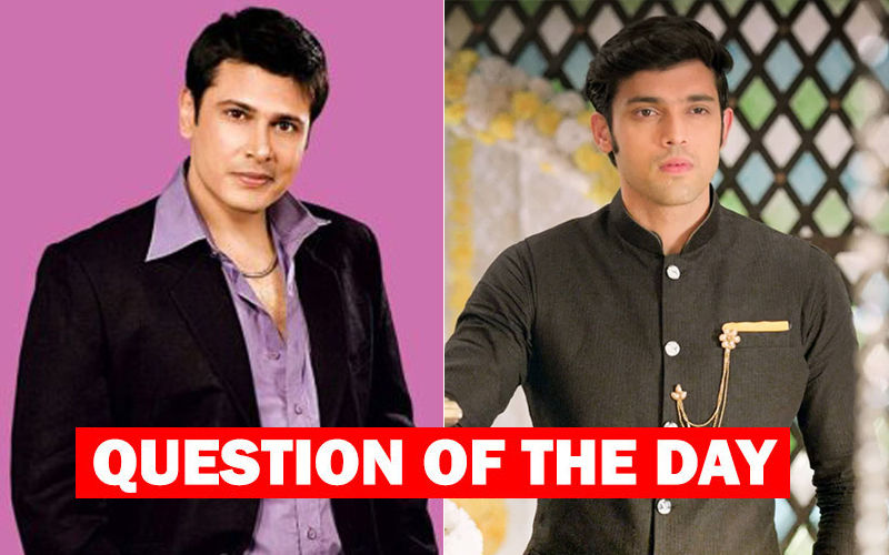 Kasautii Zindagii Kay: Cezanne Khan Or Parth Samthaan- Which Anurag Do You Prefer More?